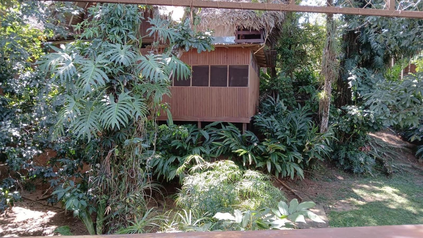 Tortugal Boutique River Lodge Rio Dulce Town Esterno foto